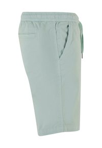 Shorts vert clair, arrivant aux genoux, en tissu doux. Dotés d'une taille élastique et de poches latérales. Design simple et dépouillé.