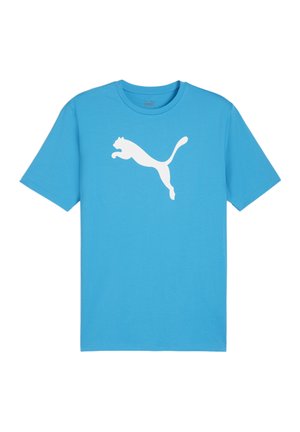 RISE LOGO  - T-Shirt print - blauweiss