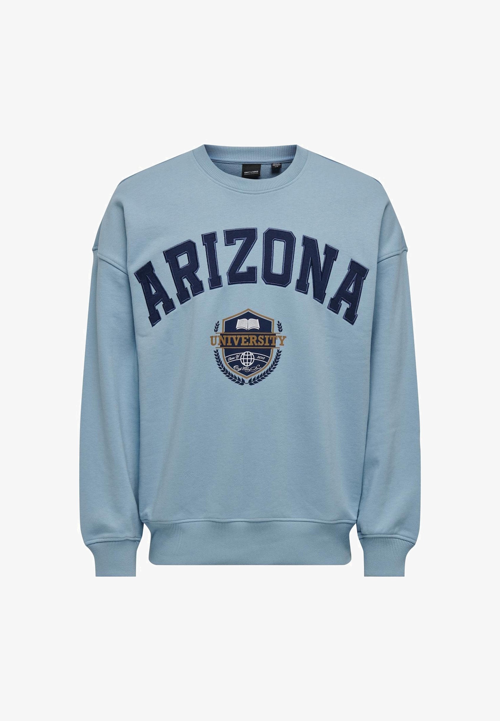 Only Sons LAW LIFE VINTAGE Sweatshirt hellblau