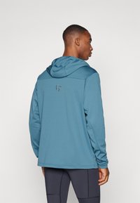 Bluza z kapturem w stonowanym niebieskim kolorze, z logo na plecach, długimi rękawami oraz luźnym krojem. Gładka tekstura, minimalistyczny design.