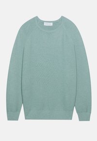 Pull tricoté vert clair avec un col rond, des manches raglan, des poignets et un ourlet côtelés. Texture lisse avec un motif subtil.