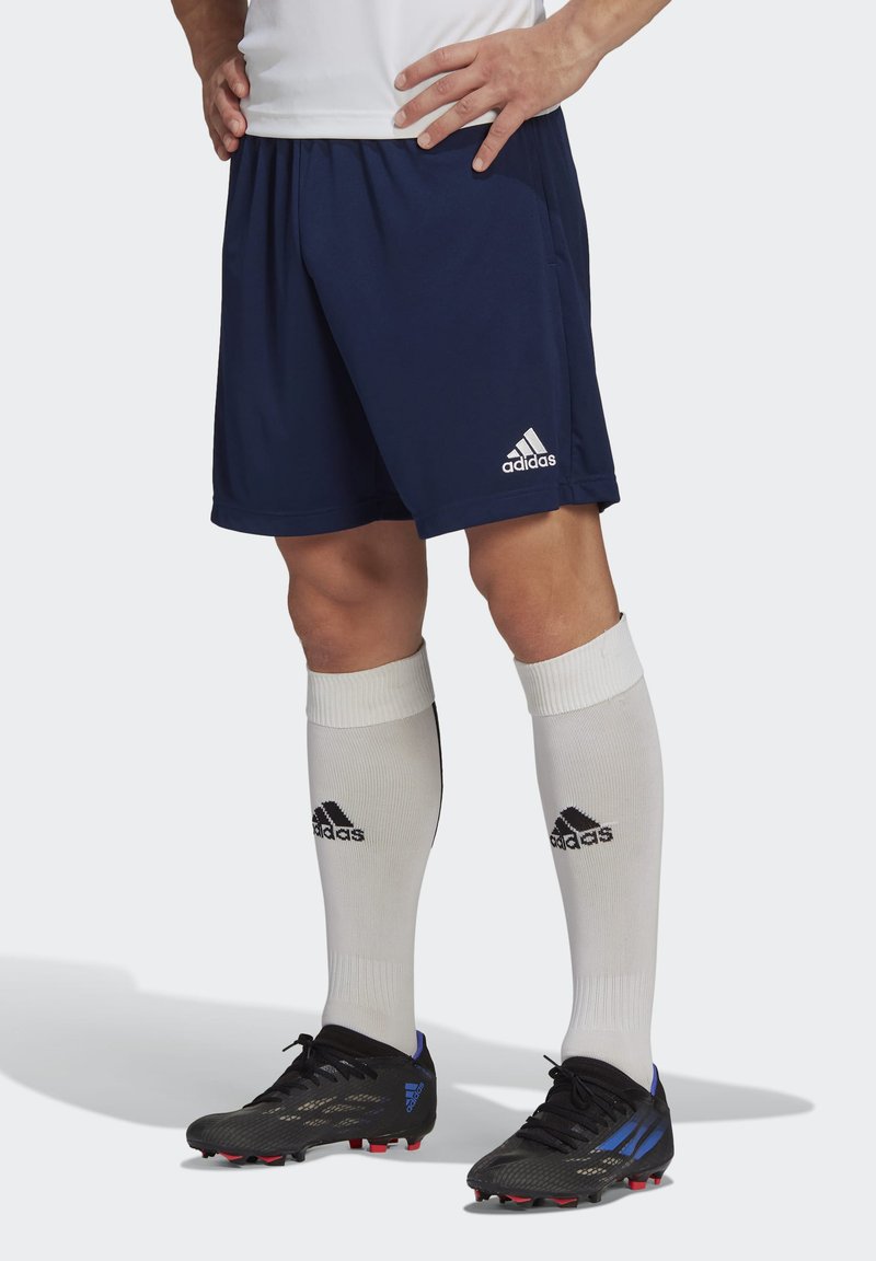 adidas Performance - ENTRADA SHORT - Träningsshorts - team navy blue, Förstora