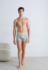 Grijze katoenen boxershorts met een Calvin Klein-logo op de tailleband. Model staat blootsvoets tegen een effen achtergrond en heeft een neutrale uitstraling.