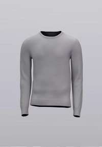 Light gray knit sweater with long sleeves, round neck, ribbed cuffs and hem, featuring a black inner neckline. Smooth texture, minimalist design.