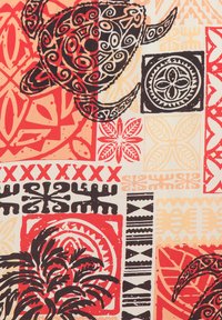 Turtle illustration with red, black, and beige tribal patterns, surrounded by floral and geometric motifs in a patchwork design.