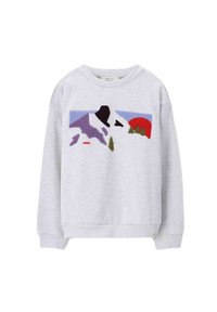 Sweatshirt gris en tissu doux, avec un design coloré de montagne et d'arbre brodé, avec un col rond et des poignets côtelés.