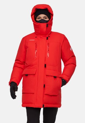 ARCTIC IN HOODED - Dunfrakker - mammut red