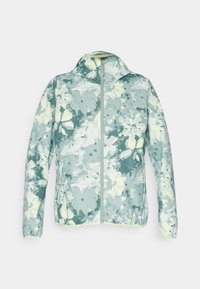 Helly Hansen GRAPHIC RAIN JACKET - Ūdensnecaurlaidīga jaka - eucalyptus