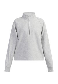 Grå pullover sweatshirt med høj krave, halv lynlås foran, raglanærmer og ribbede manchetter. Blødt stof med en glat tekstur.