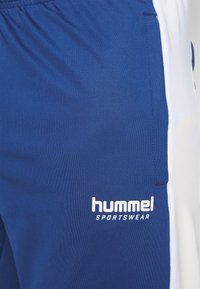Blå atletiska shorts med en vit sidopanel, elastisk midja och Hummel Sportswear-logotyp i vitt nere till höger.
