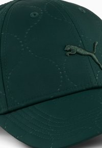 Gorra verde oscuro hecha de tela suave con costuras tonales y un logo bordado elevado en la parte frontal. Presenta una visera curvada.