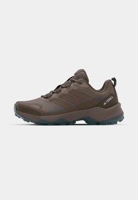 SKYCHASER AX5 - Hikingsko - trace brown/earth strata/preloved teal