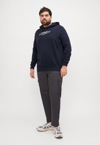 Navy hoodie with white logo, drawstrings; gray cargo pants with pockets; light gray sneakers with dark accents. Casual outfit display.