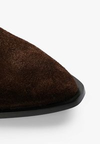 Bruine suède enkellaars met een puntige neus en een gladde zwarte zool. De textuur lijkt zacht met een matte afwerking, die een rijke kleur diepte laat zien.