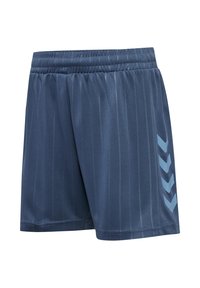 Marina sportshorts med vertikala ränder, elastisk midja och ljusblå chevronaccenter på sidan. Tillverkade av lätt, andningsbart material.