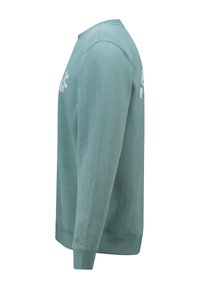 Light teal long-sleeve crewneck sweatshirt with small white graphic on upper chest and subtle logo near cuff, shown from side view.