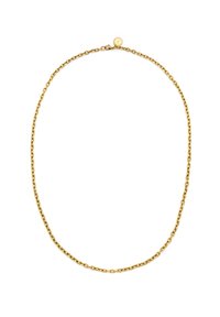 Collar de cadena de color dorado con eslabones entrelazados, que presenta un pequeño broche circular en la parte posterior. Textura lisa y forma uniforme.