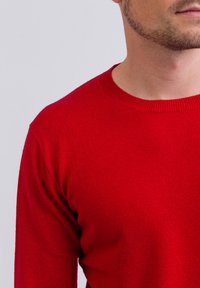 CASH-MERE RUNDHALS  - Maglione - rot
