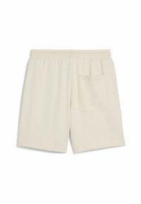 Puma PREMIUM ESS GRAPHIC - Pantalones deportivos - alpine snow