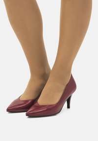 Scarpe con tacco alto in pelle bordeaux con design a punta. L'altezza del tacco è moderata e la superficie è liscia senza motivi visibili.