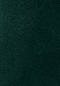 TUSSAH KATH MIDI  - Dnevna haljina - emerald