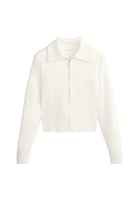 White cropped sweater with a zip front, featuring a pointed collar, ribbed cuffs, and a textured fabric. Simple and minimalist design.