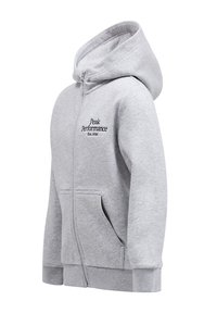 Lichtgrijze zip-up hoodie gemaakt van zacht materiaal, met een grote capuchon, voorzakken, geribde manchetten en een geborduurd logo op de borst.