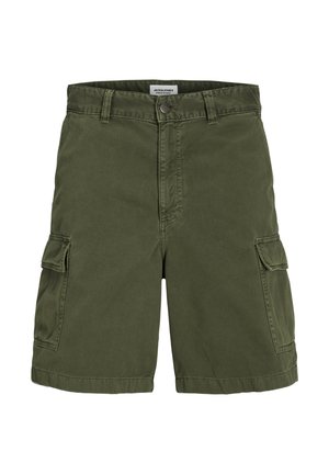 Jack & Jones KARL - Cargohose - grün