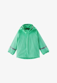 Unselected, fresh mint