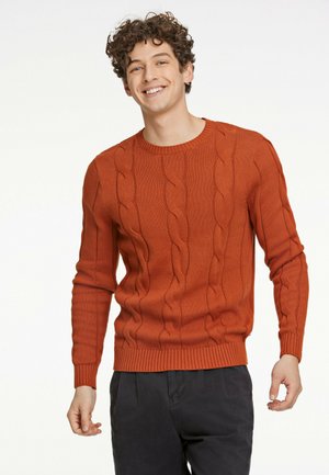 Rust-colored knitted sweater with a cable pattern, ribbed neckline and cuffs. The material appears textured and medium-weight.