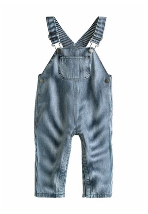 Blaue und weiße gestreifte Latzhosen aus Stoff, mit verstellbaren Trägern, einer Vordertasche und metallischen Druckknöpfen. Klassisches Latzhosen-Design.