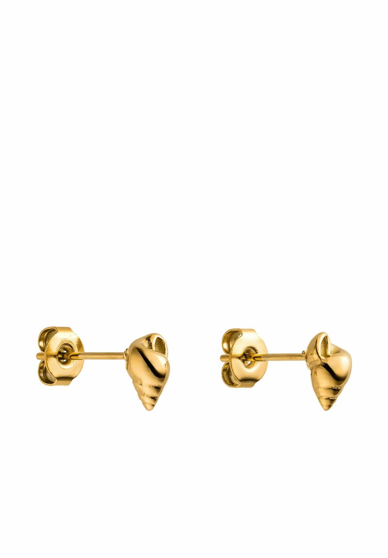 Goldfarbene Ohrstecker im Muscheldesign mit strukturierter Oberfläche und sicherem Druckverschluss.