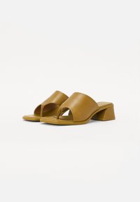 Brown leather open-toe mules with block heels and a wide strap over the foot. Smooth texture and minimalistic design with a slight shine.