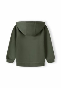 Sudadera verde hecha de tela gruesa, con un bolsillo tipo canguro, puños y dobladillo acanalados, con capucha fijada y una textura lisa y sencilla.