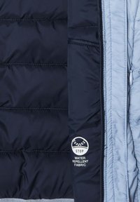 Pepe Jeans DAHLIA  - Giacca invernale - dazed blue