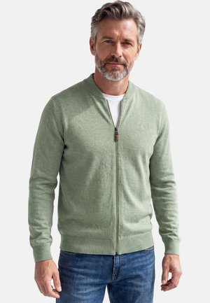 Middle-aged man with gray hair and beard wearing a light green zip-up sweater and blue jeans, standing against a plain background.