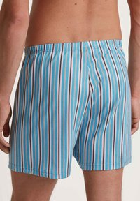 Shorts de bain rayés bleus présentant des rayures verticales en bleu, blanc, rouge et noir. Ceinture élastique avec une texture lisse.
