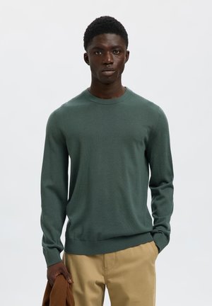 Selected Homme SLHTRAY CREW NECK NOOS - Jumper - deep forest