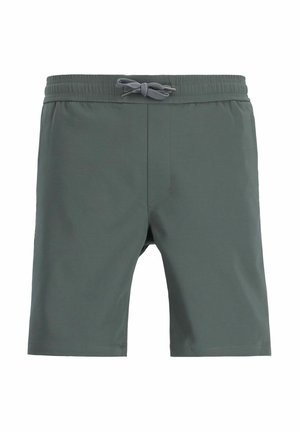 CHASIN' STONE.S DRY - Shorts - grey