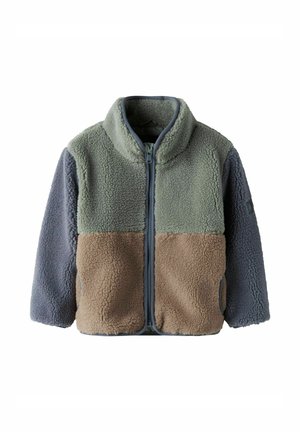 Fleecejacke mit Frontreißverschluss, hohem Kragen und langen Ärmeln; im Farbscheiben-Design in Hellgrün, Beige und Grau.