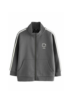 REGULAR FIT - TIERRA LOGO FUNNEL NECK  - Športna jopa s kapuco na zadrgo - charcoal grey