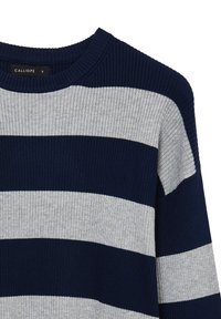 Pull en tricot côtelé avec des rayures horizontales bleu marine et gris clair, col rond et manches longues. Le tissu a un aspect texturé.