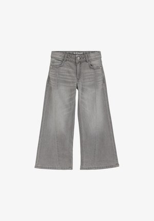 WE Fashion, BLUE RIDGE - Wide Leg - light grey