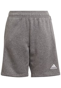 adidas Performance Pantalón corto de deporte - grey
