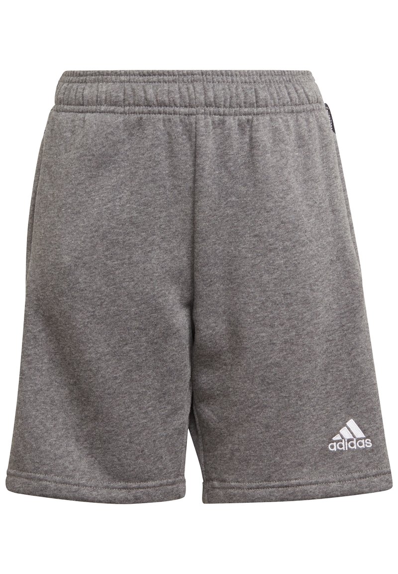 adidas Performance Pantalón corto de deporte - grey