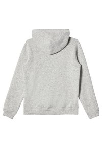 Grijze hoodie met een zachte, textuurlijke stof, lange mouwen en een afgeronde zoom. De achterkant heeft een naadloos ontwerp zonder grafische elementen.