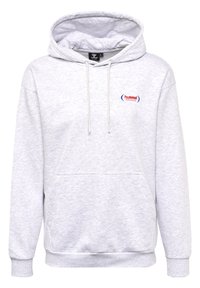 Hoodie gris clair avec une capuche à cordon, une poche kangourou et des poignets côtelés. Présente un logo brodé rouge et bleu sur la poitrine.