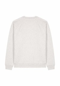 Felpa grigia chiaro a maniche lunghe con maniche raglan e polsini e orlo a costine, vista da dietro su sfondo bianco.