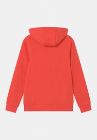 Mikina s kapucí z měkké tkaniny, v jednotné korálové barvě, s dlouhými rukávy a volným střihem. Zadní pohled ukazuje jednoduchý design.