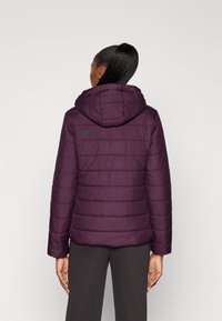 Giacca a vento viola con cappuccio, caratterizzata da un design a righe verticali, polsini elastici e un logo sulla schiena. Tessuto liscio e leggero.